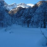 Radura a inizio salita verso osservatorio faunistico 